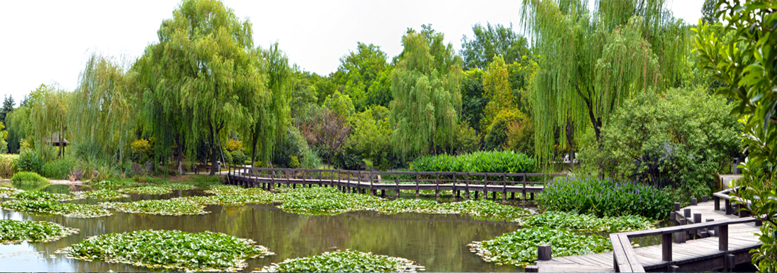 url(http://www.tc-mm.cn/theme/TP000163/pic/banner4.jpg)